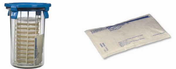 �����l��ϵ�y